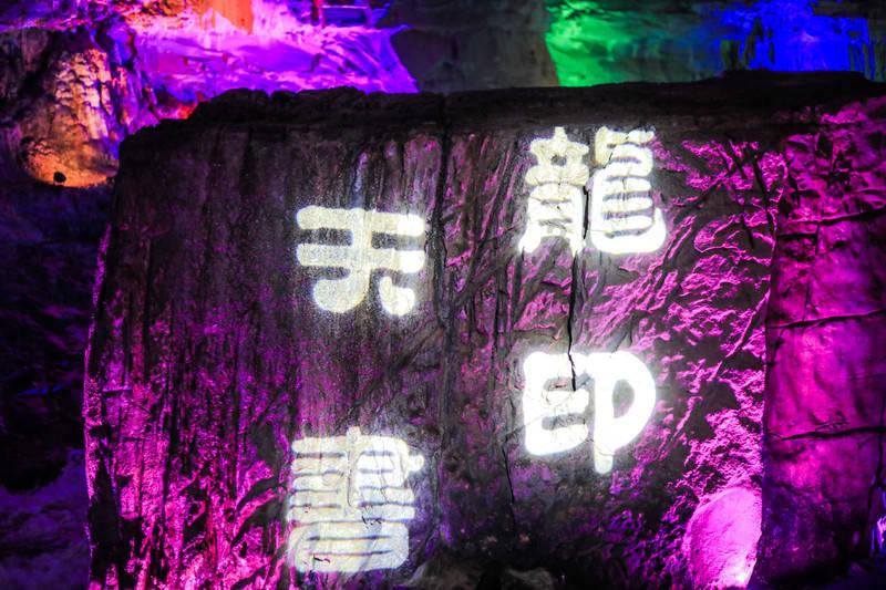 昙花的养殖方法和注意事项游戏画面